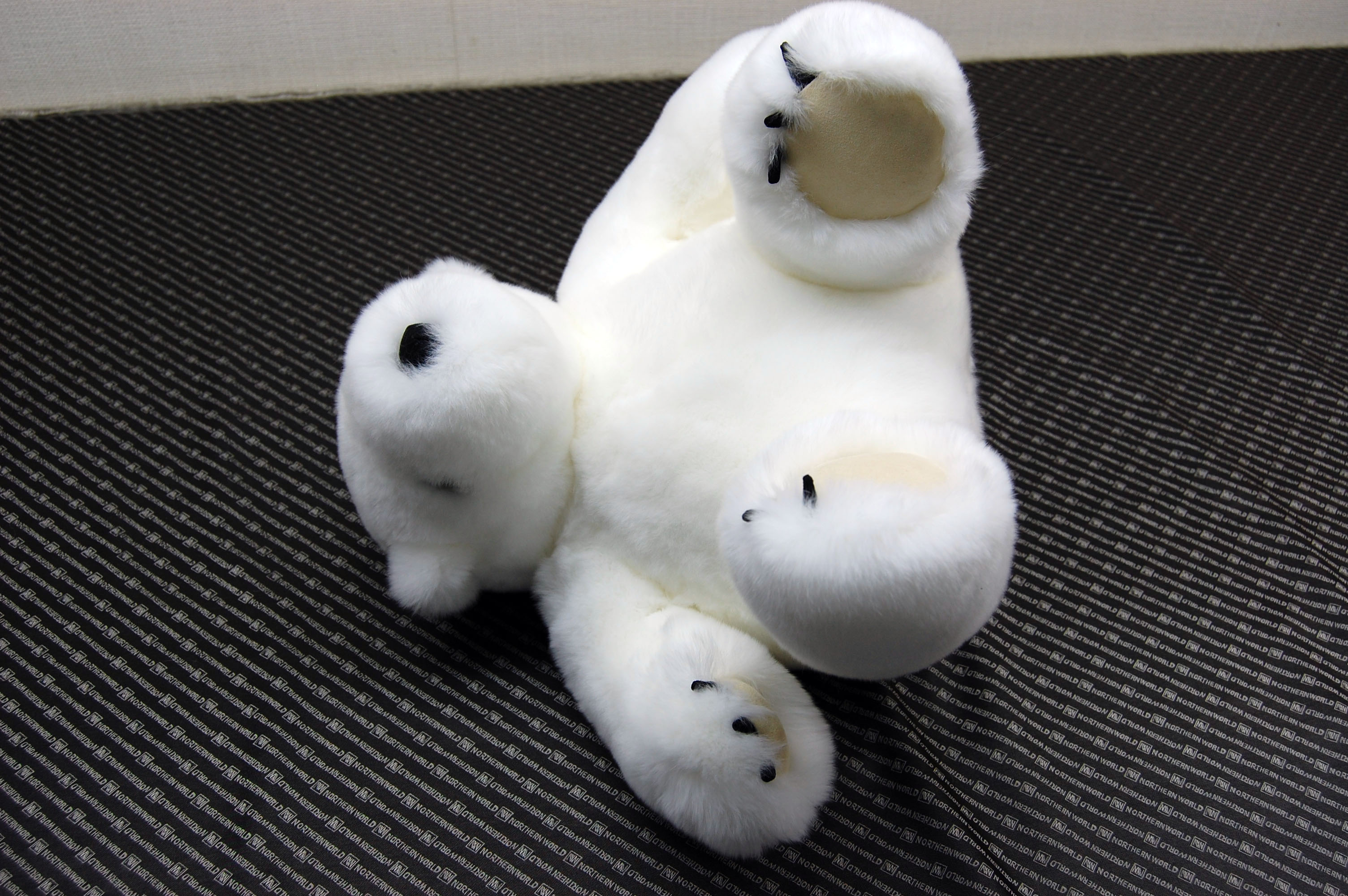 レッキス　ドール（ポーラーベア）の画像