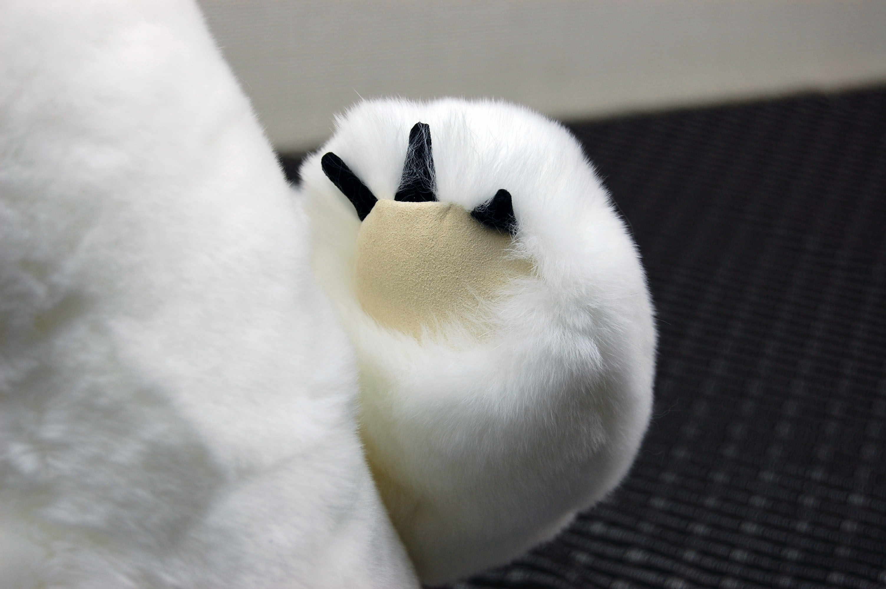 レッキス　ドール（ポーラーベア）の画像