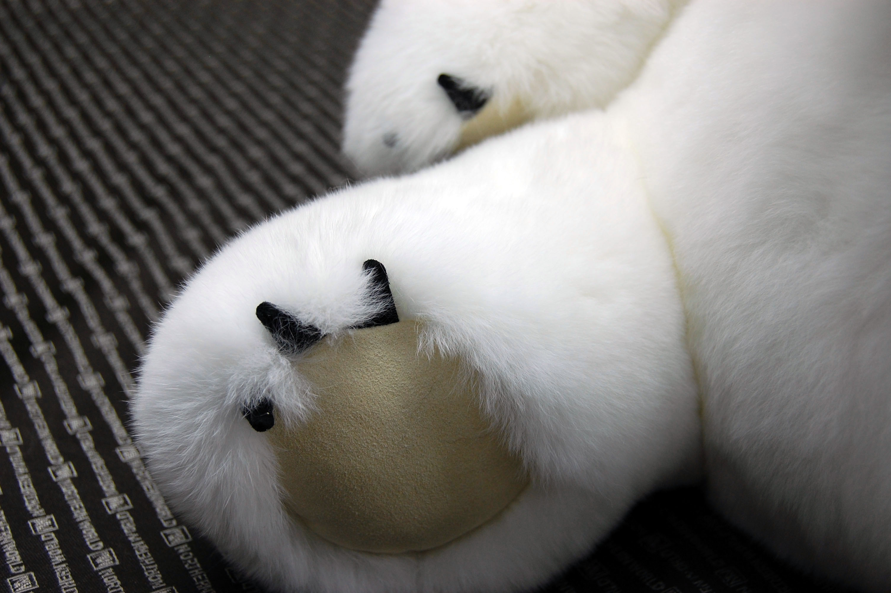 レッキス　ドール（ポーラーベア）の画像