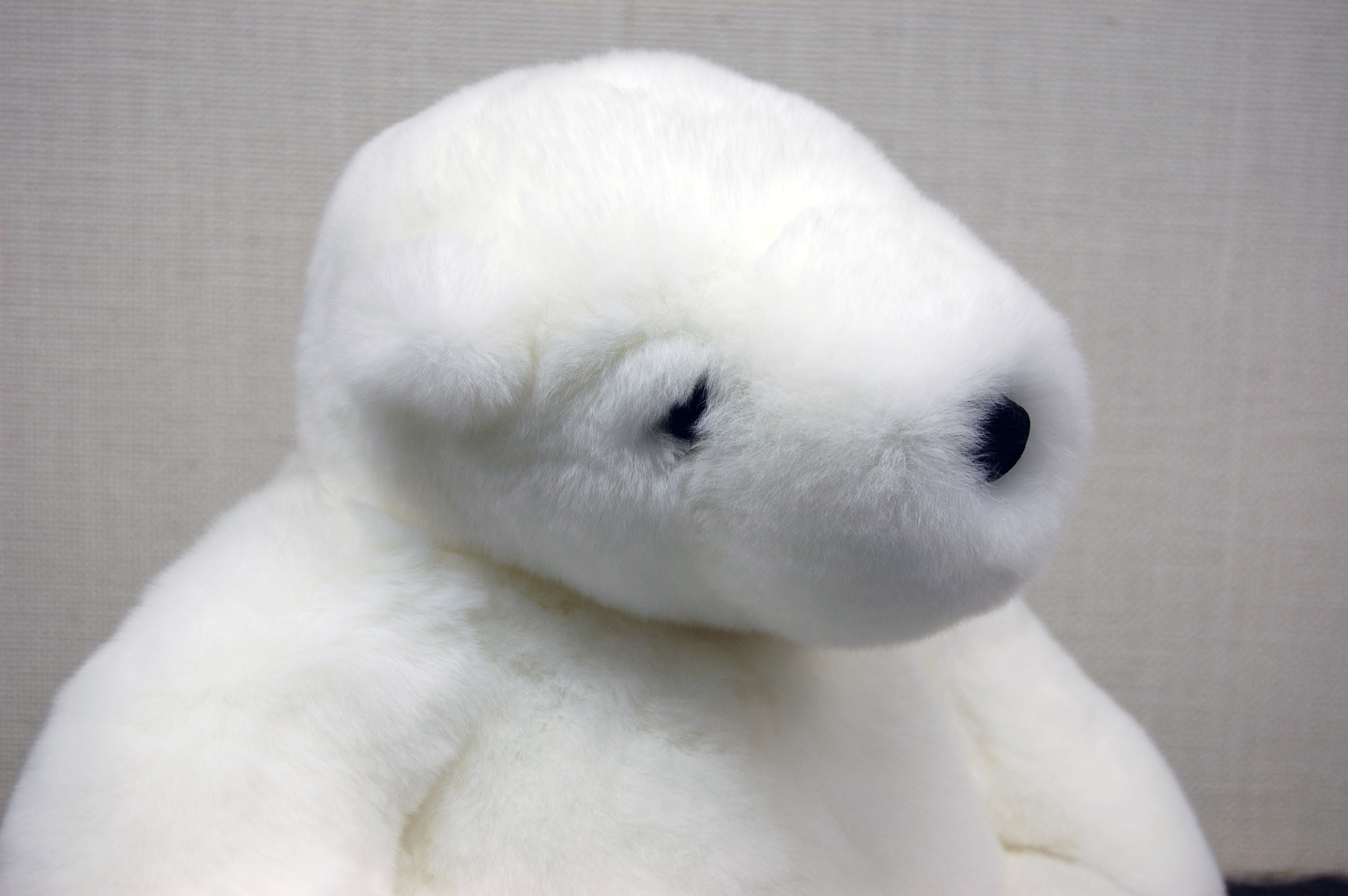 レッキス　ドール（ポーラーベア）の画像