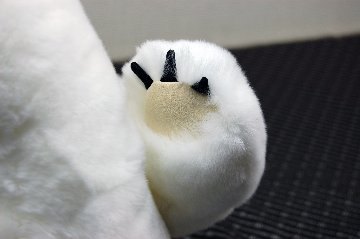 レッキス　ドール（ポーラーベア）の画像