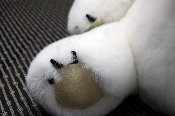 レッキス　ドール（ポーラーベア）の画像