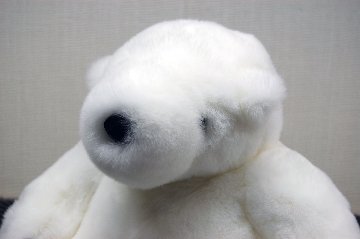 レッキス　ドール（ポーラーベア）の画像