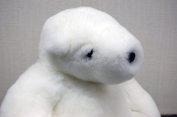 レッキス　ドール（ポーラーベア）の画像