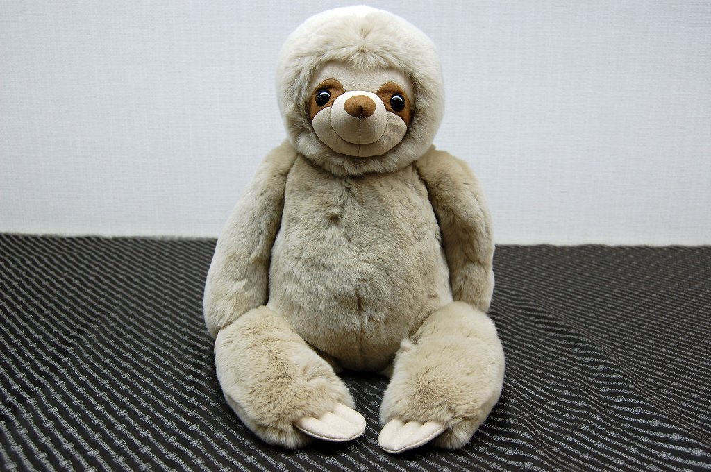 レッキス　ドール（ナマケモノ）の画像