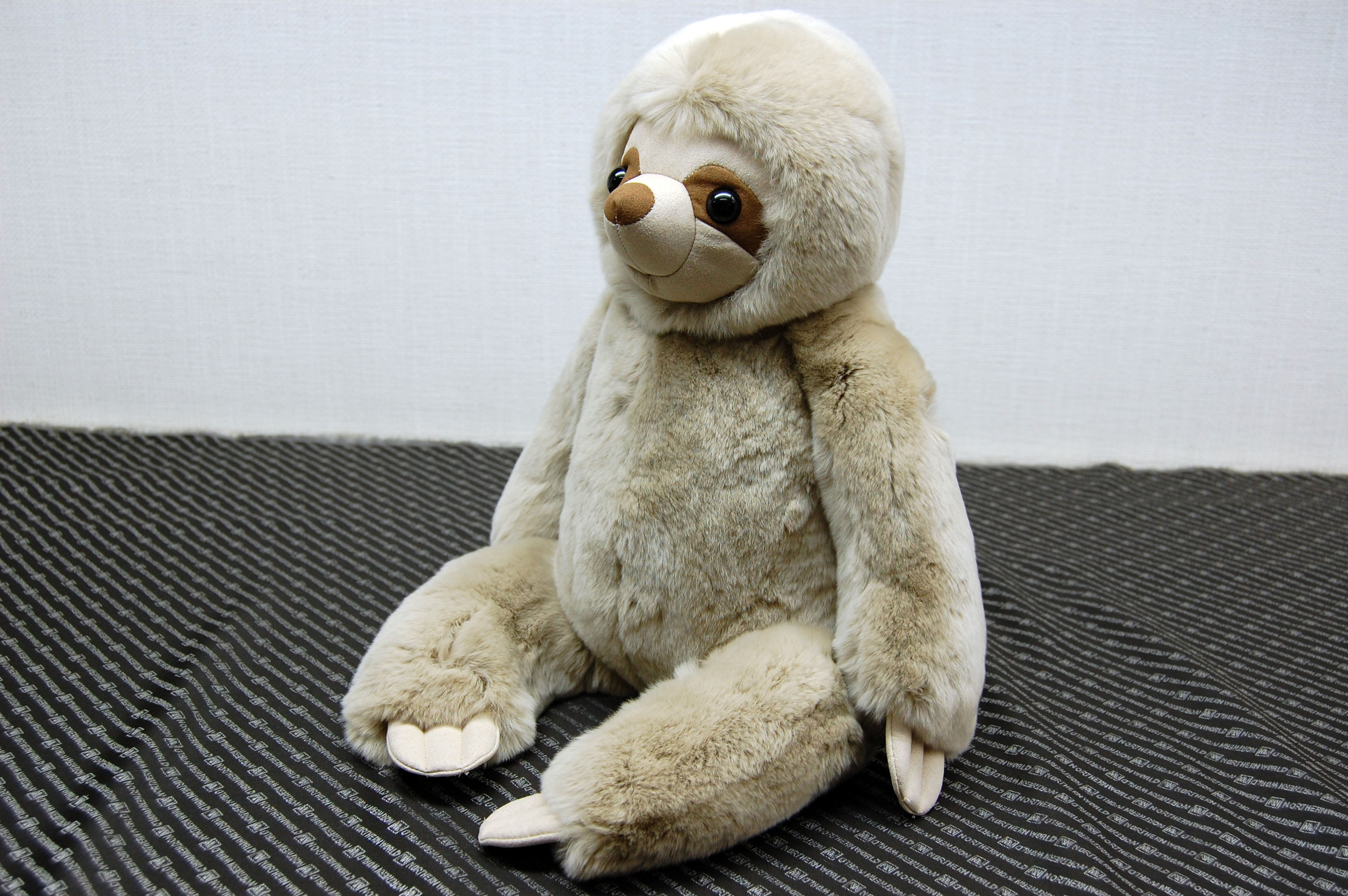 レッキス　ドール（ナマケモノ）の画像