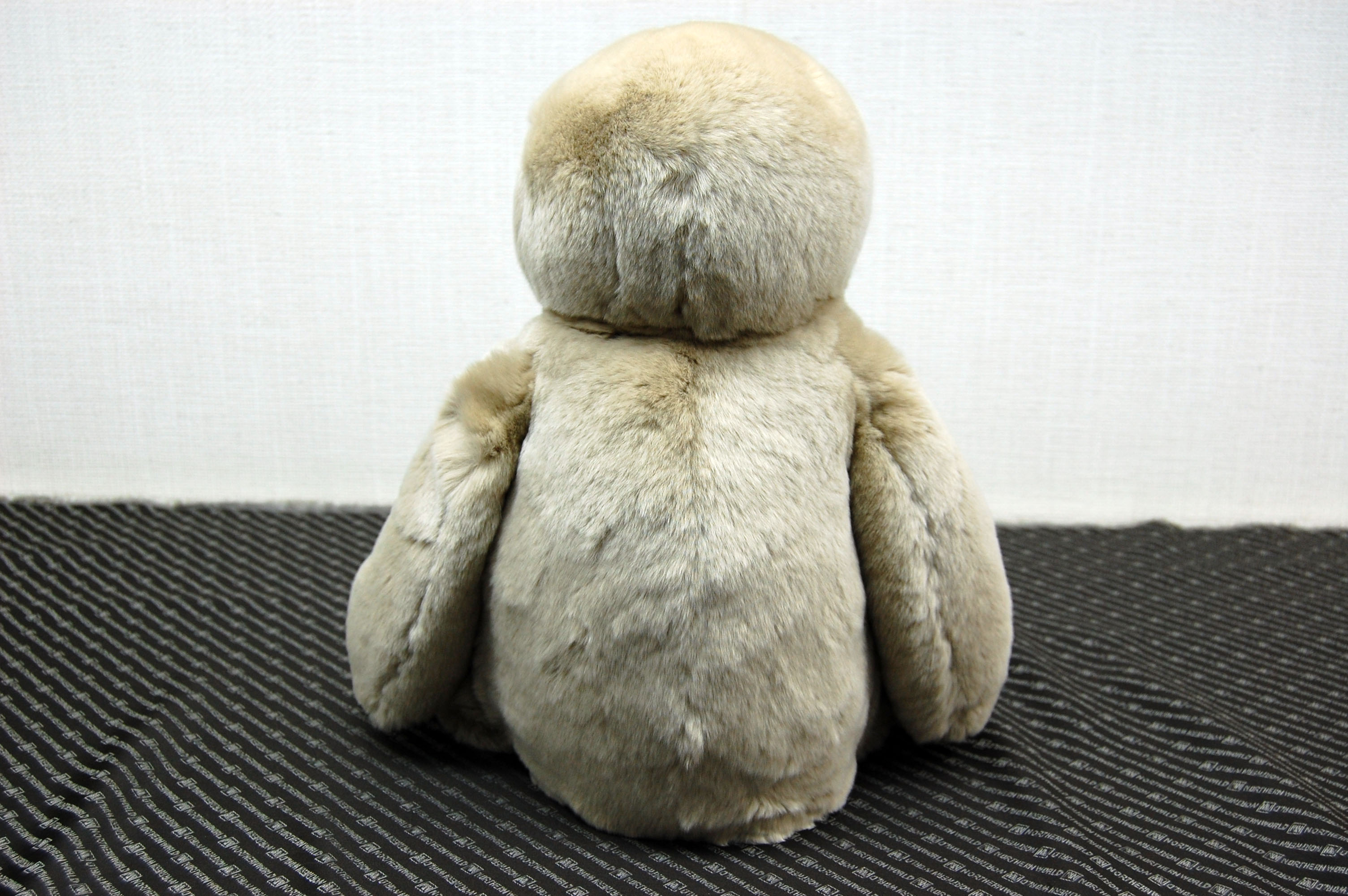 レッキス　ドール（ナマケモノ）の画像