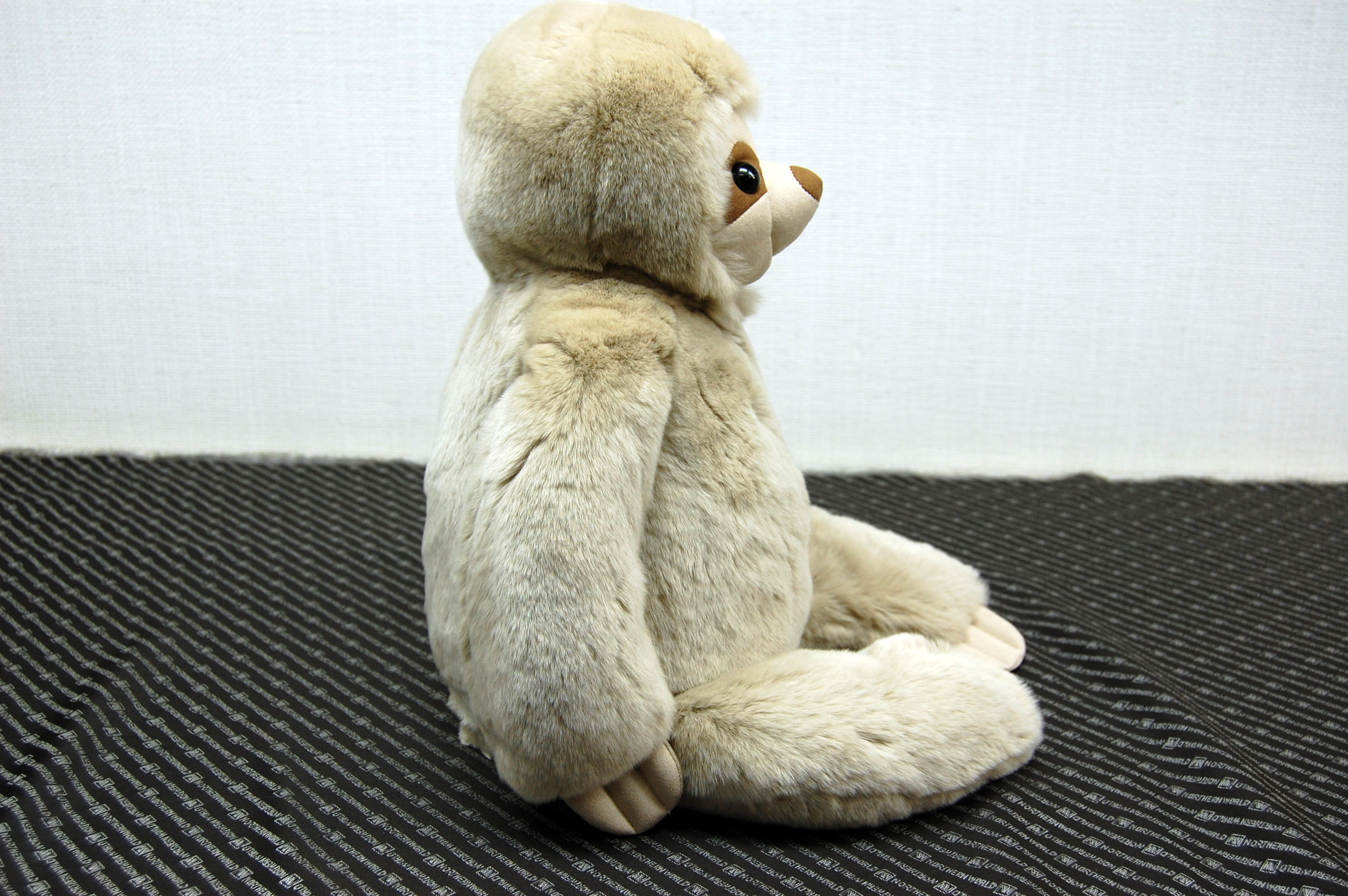 レッキス　ドール（ナマケモノ）の画像