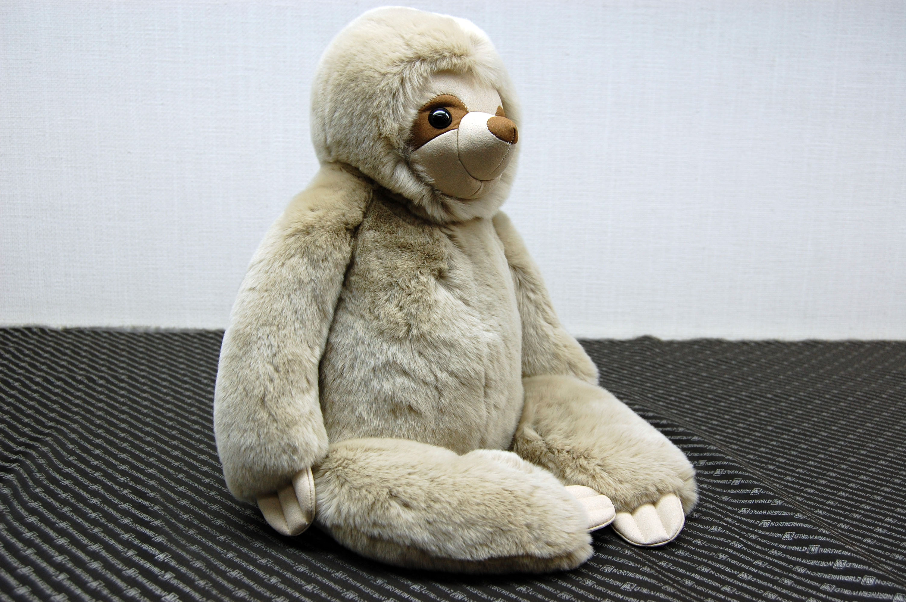 レッキス　ドール（ナマケモノ）の画像