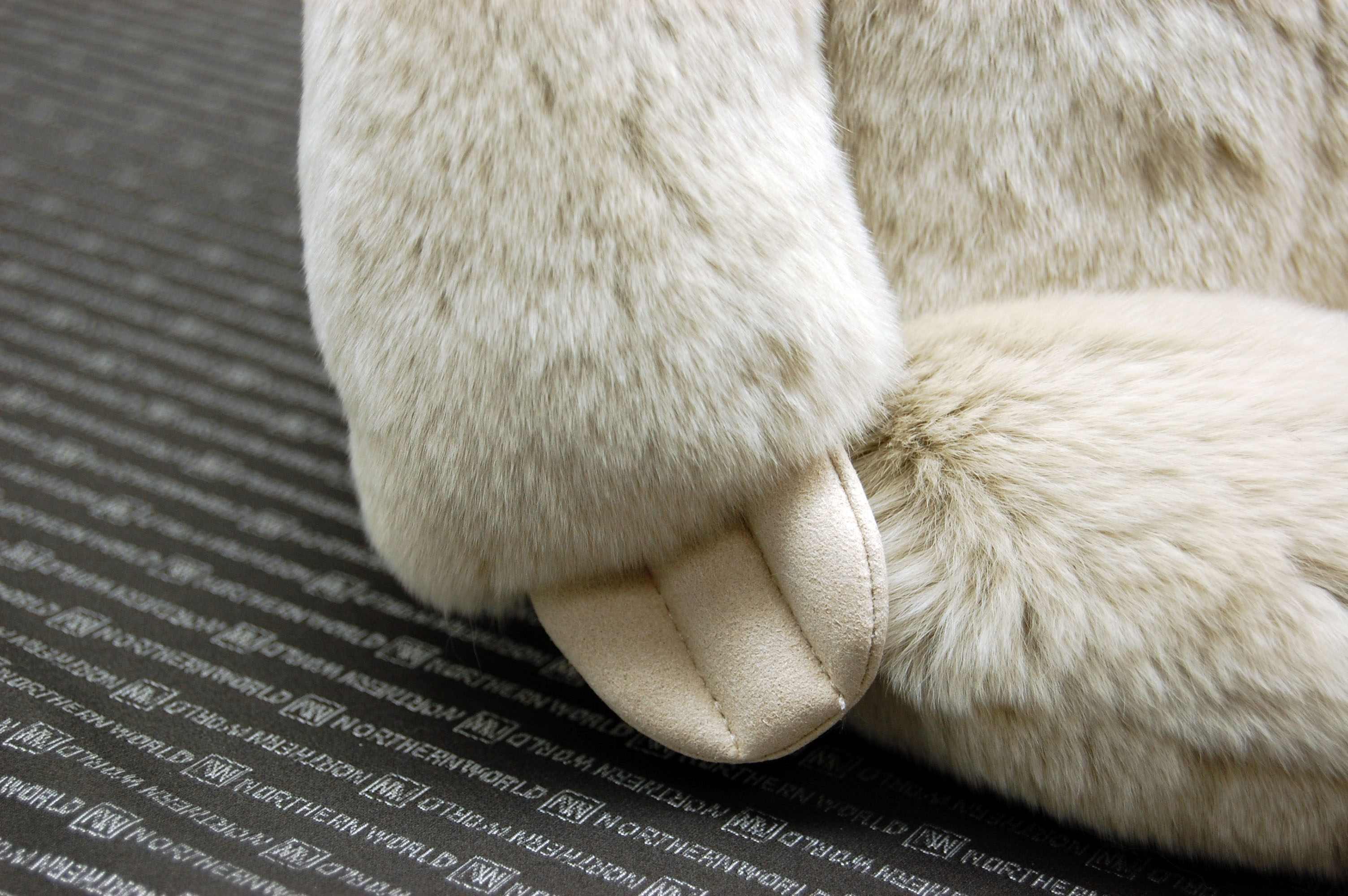 レッキス　ドール（ナマケモノ）の画像