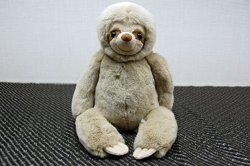 レッキス　ドール（ナマケモノ）の画像