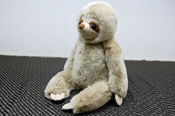 レッキス　ドール（ナマケモノ）の画像