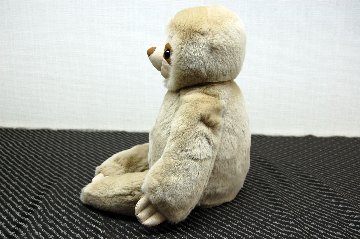 レッキス　ドール（ナマケモノ）の画像