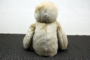 レッキス　ドール（ナマケモノ）の画像