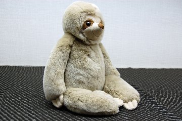 レッキス　ドール（ナマケモノ）の画像