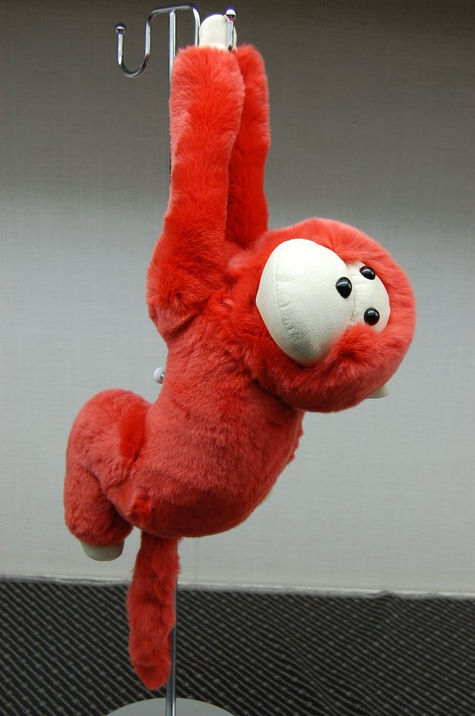 レッキス　ドール（モンキー）の画像