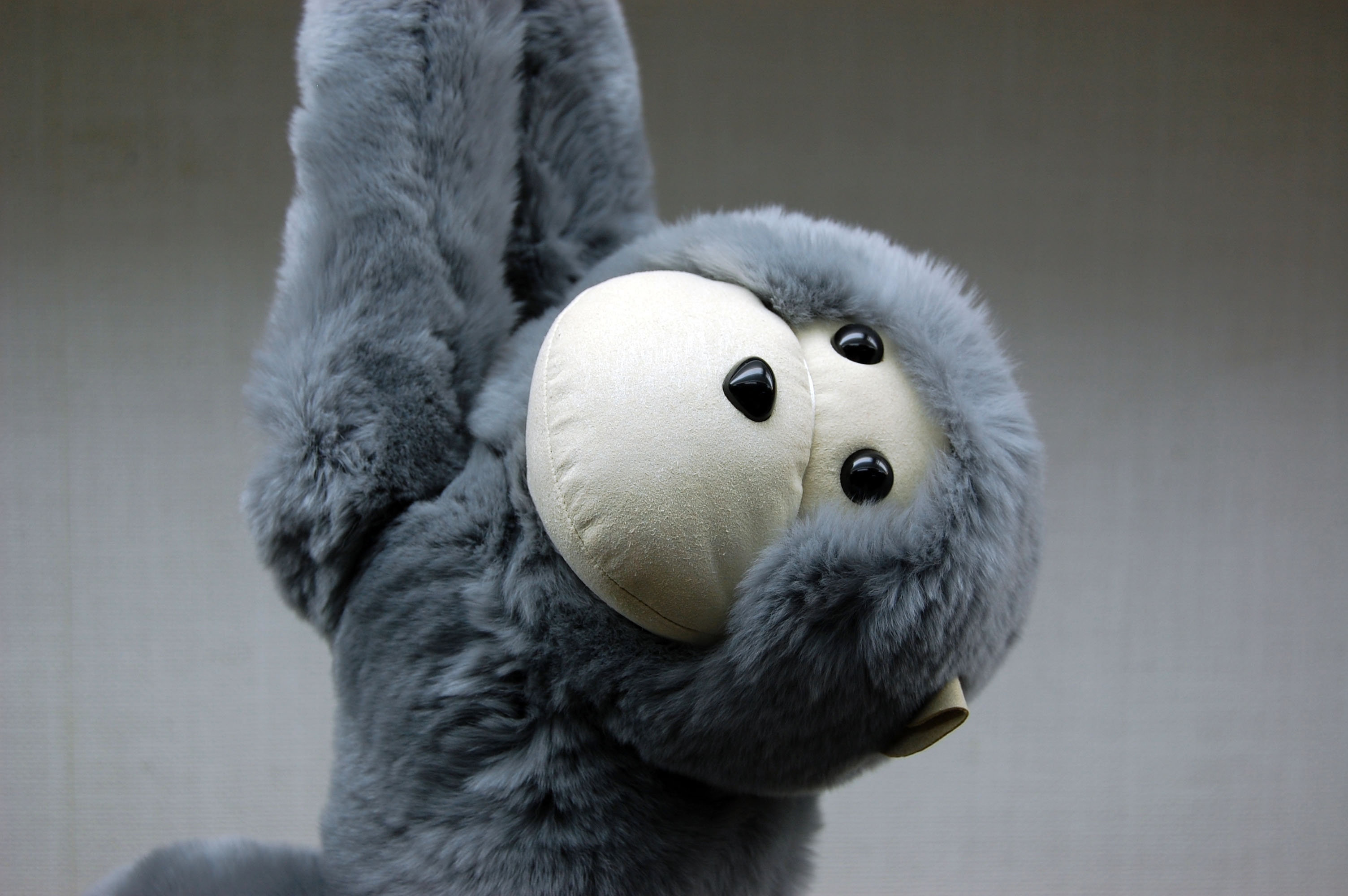 レッキス　ドール（モンキー）の画像