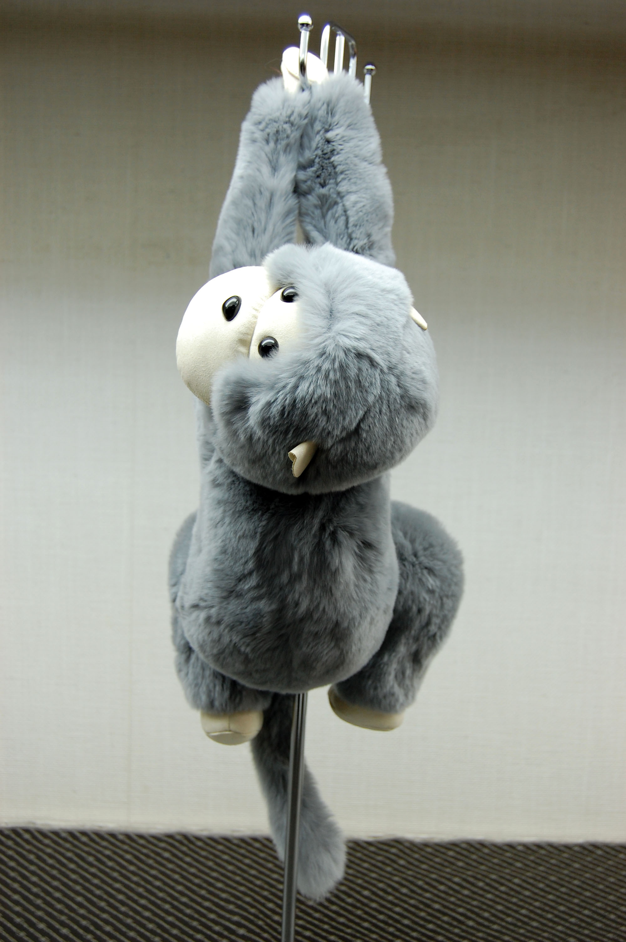 レッキス　ドール（モンキー）の画像