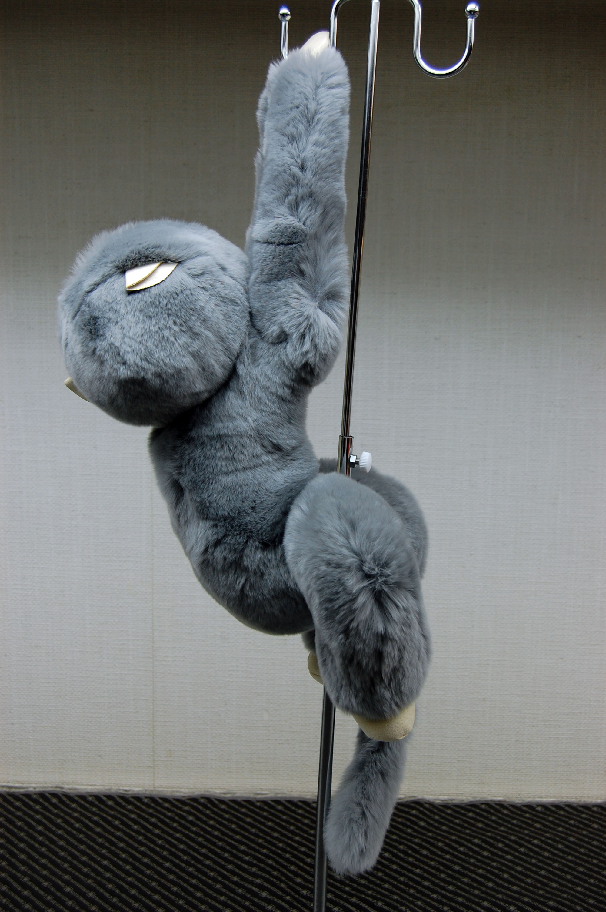 レッキス　ドール（モンキー）の画像