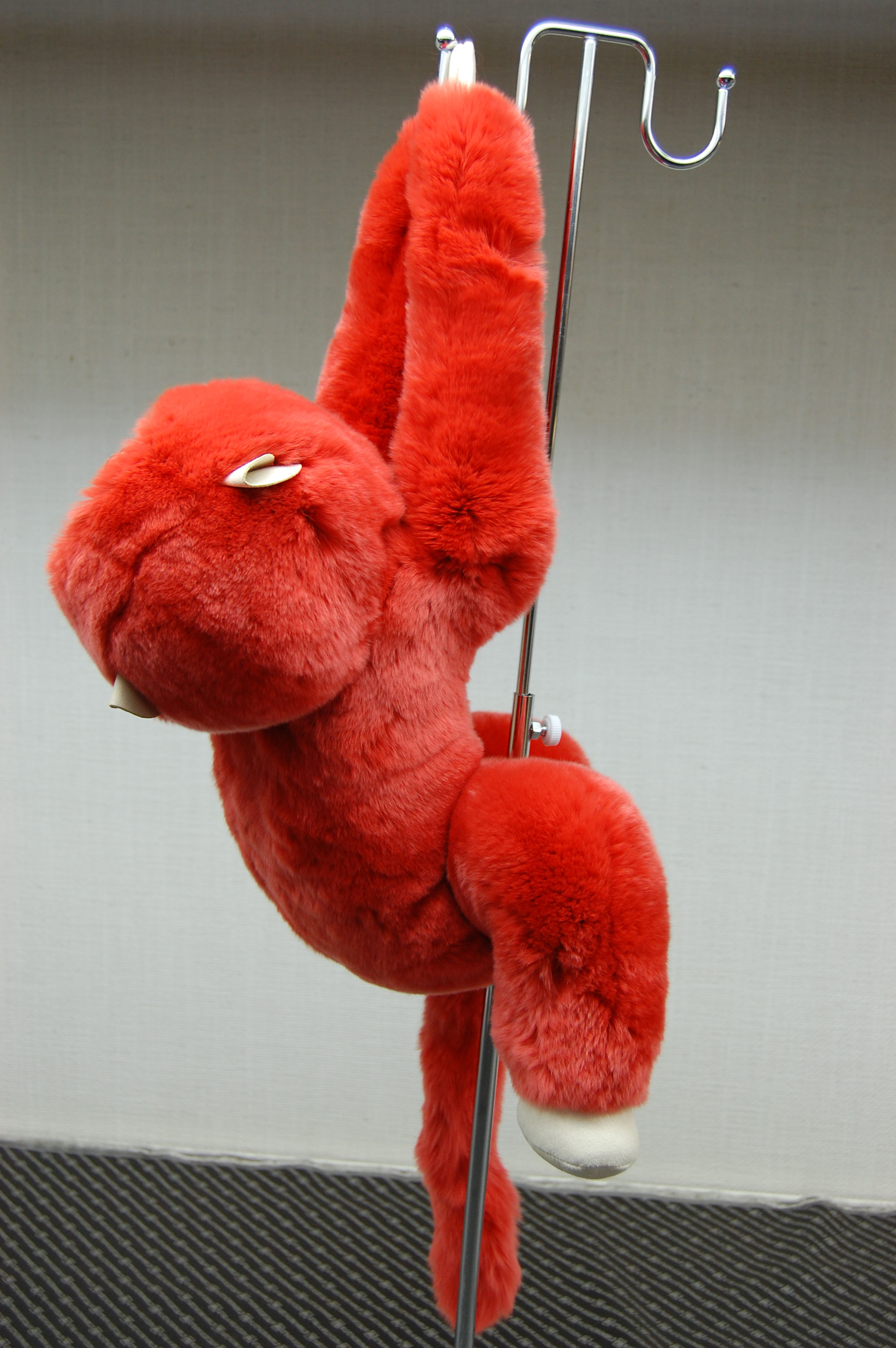 レッキス　ドール（モンキー）の画像