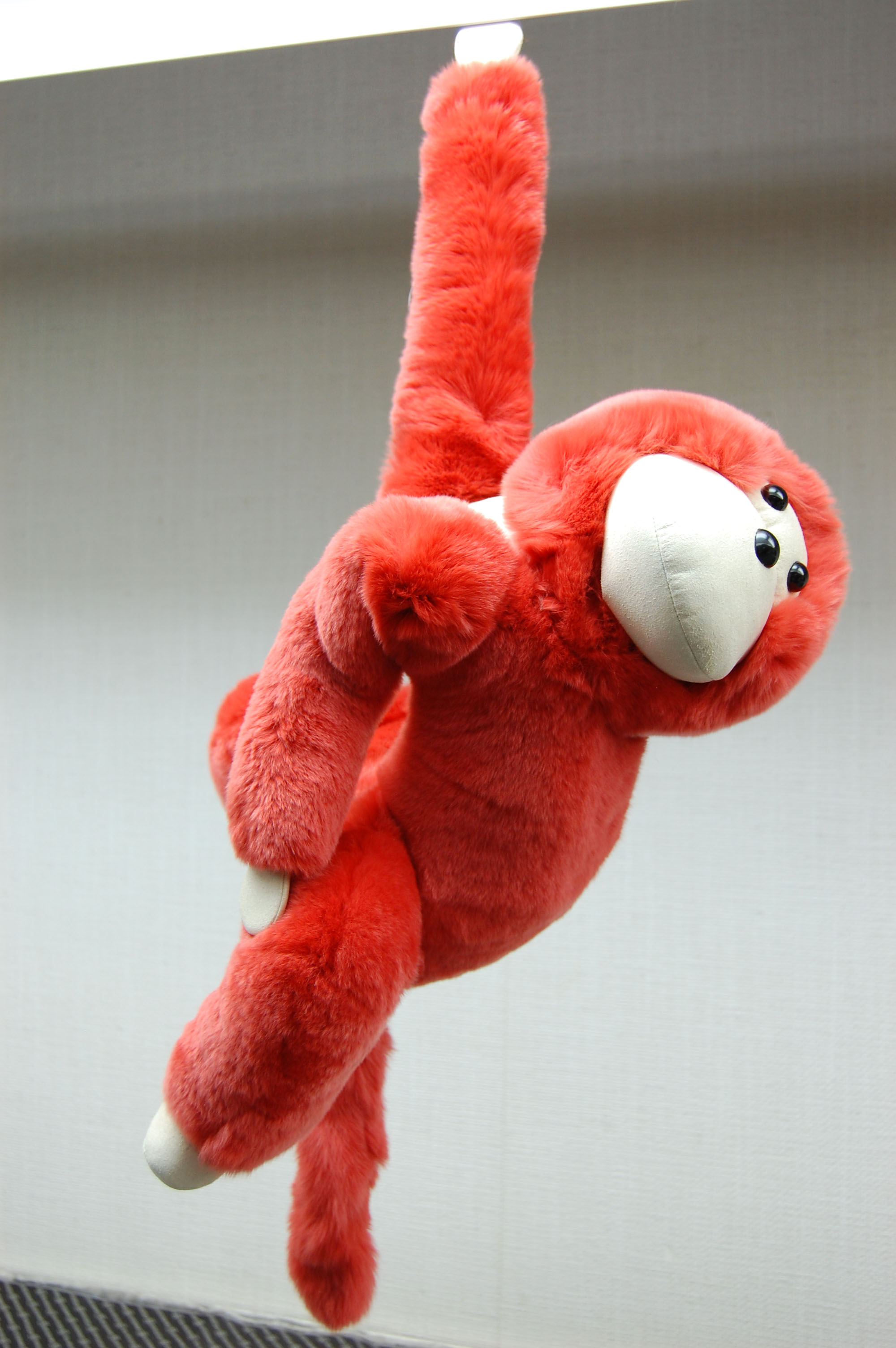 レッキス　ドール（モンキー）の画像