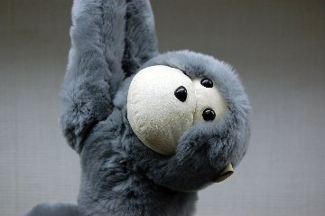 レッキス　ドール（モンキー）の画像