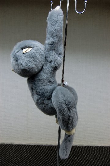 レッキス　ドール（モンキー）の画像