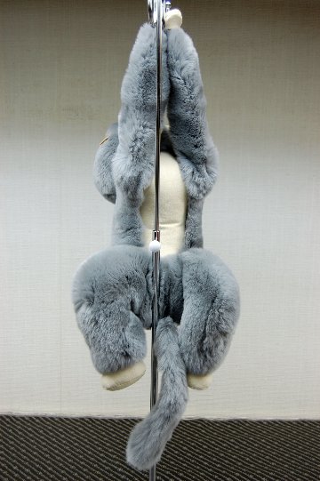 レッキス　ドール（モンキー）の画像