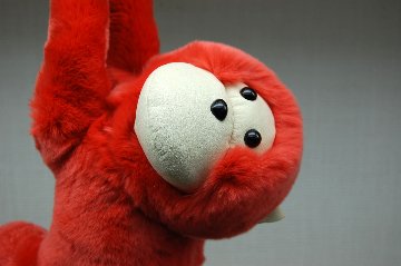 レッキス　ドール（モンキー）の画像