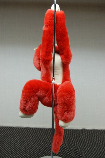 レッキス　ドール（モンキー）の画像