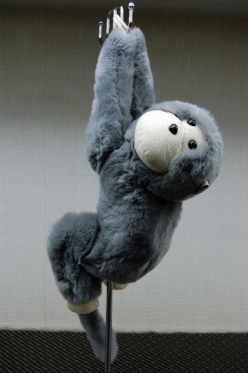 レッキス　ドール（モンキー）の画像