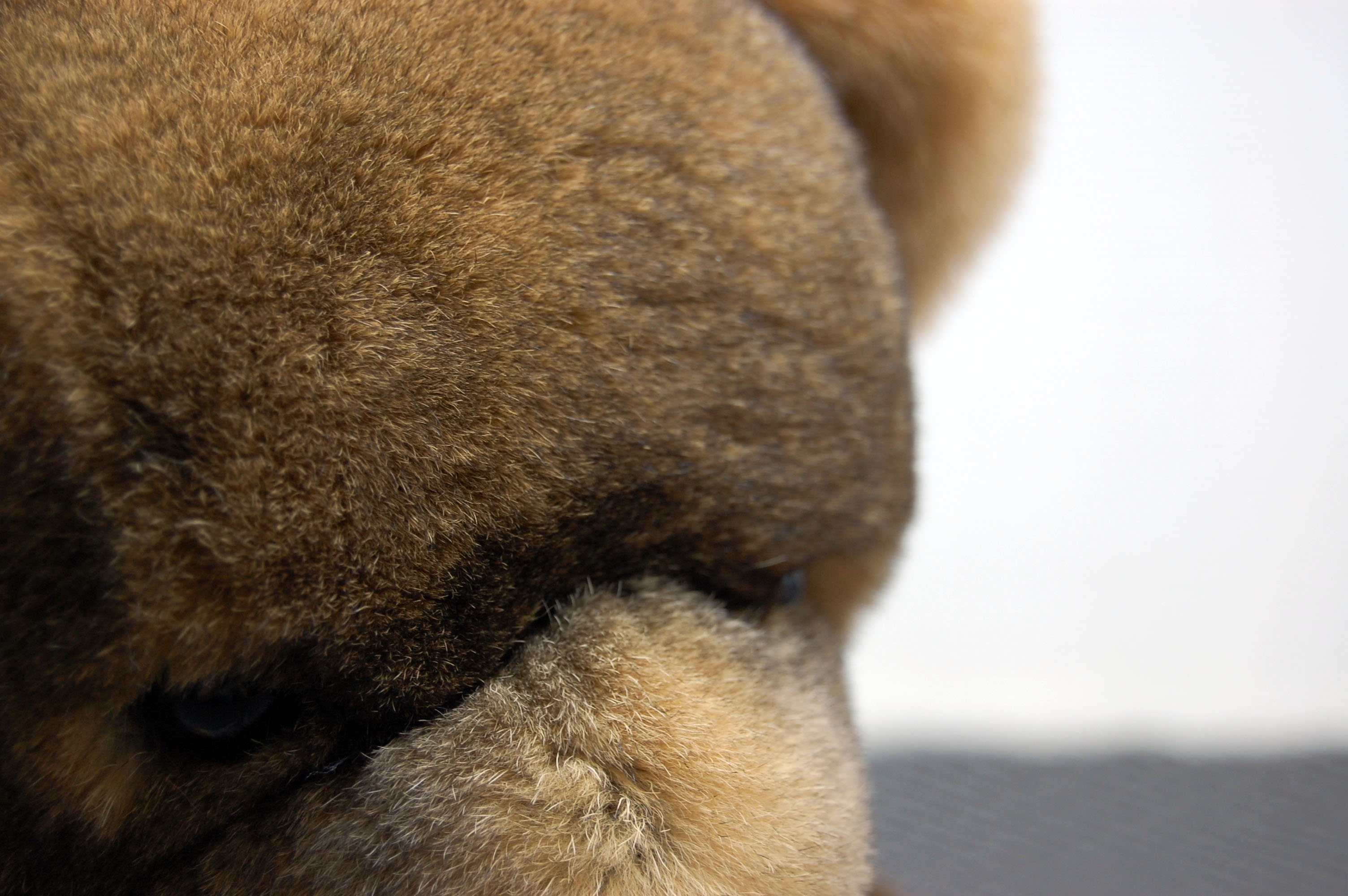 レッキス　ドール（ベア）の画像