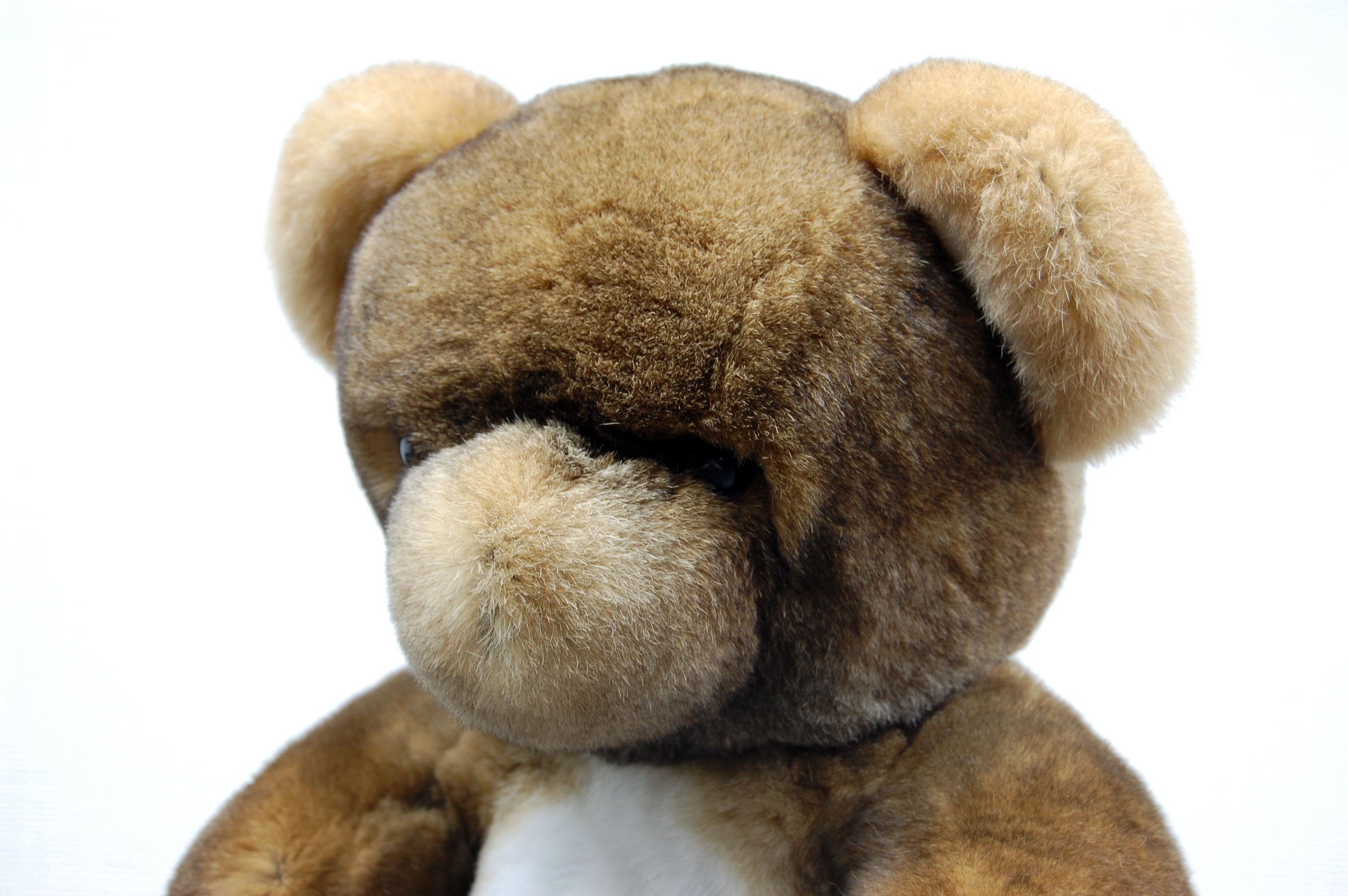 レッキス　ドール（ベア）の画像