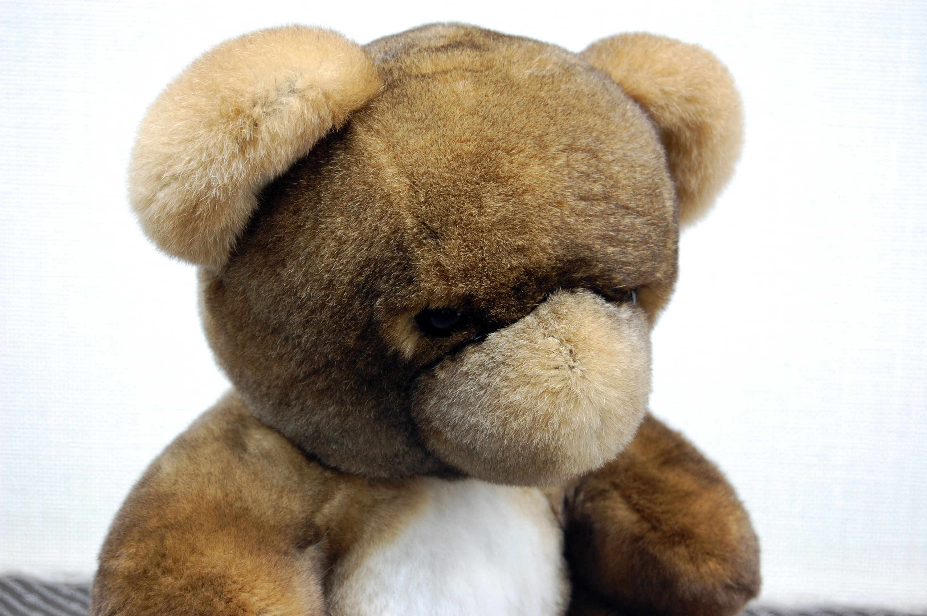 レッキス　ドール（ベア）の画像