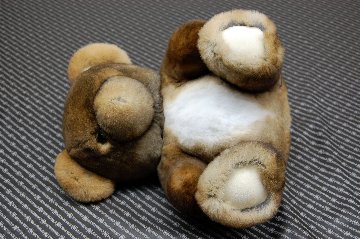 レッキス　ドール（ベア）の画像