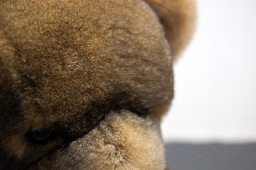 レッキス　ドール（ベア）の画像