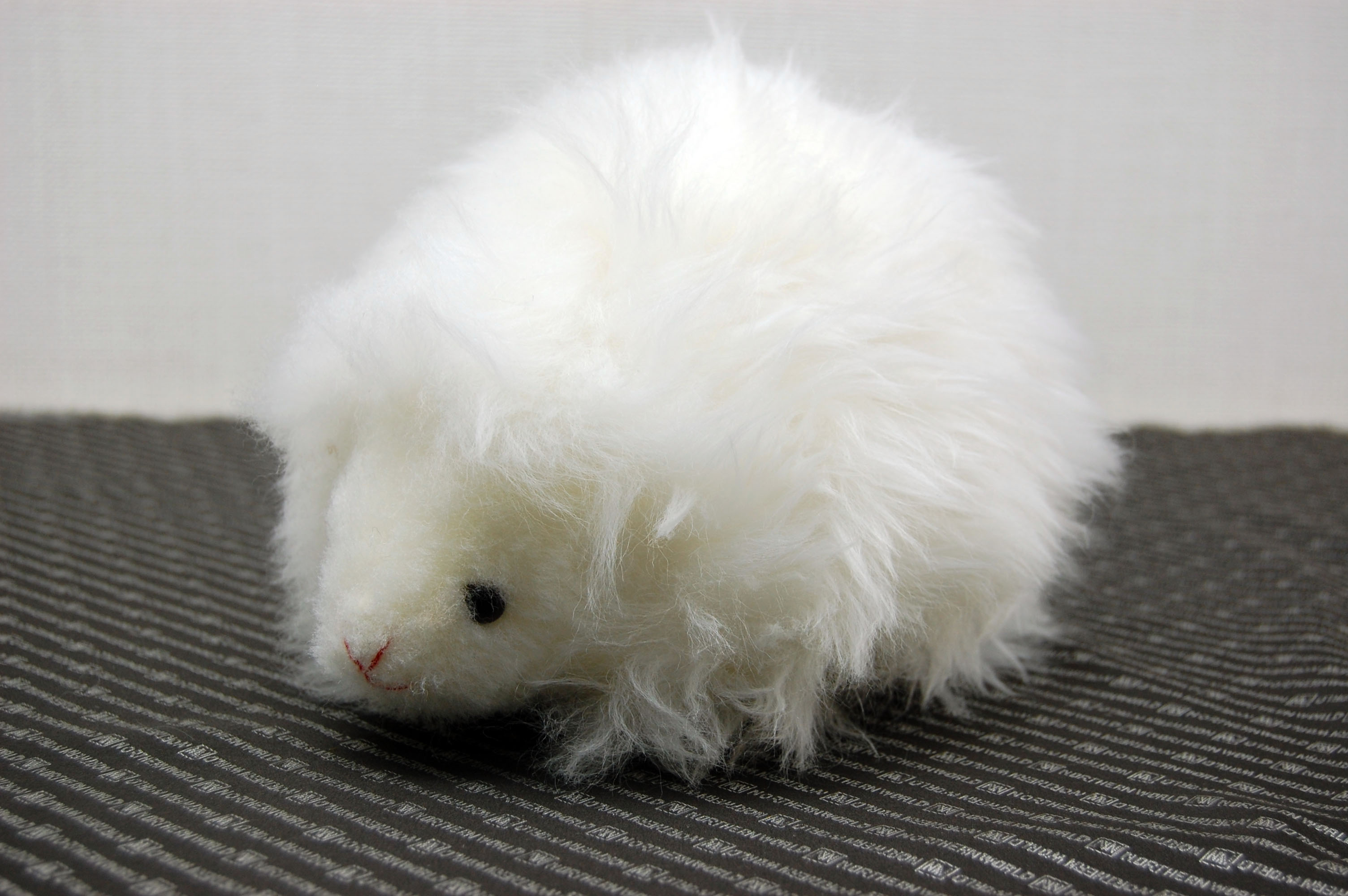 ムートン　ドール（ヘッジホッグ）の画像