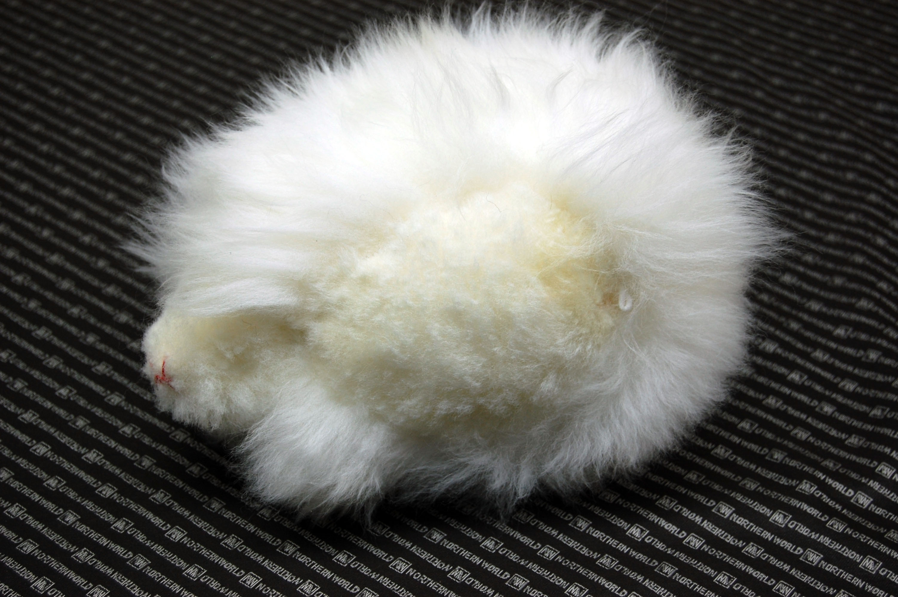 ムートン　ドール（ヘッジホッグ）の画像