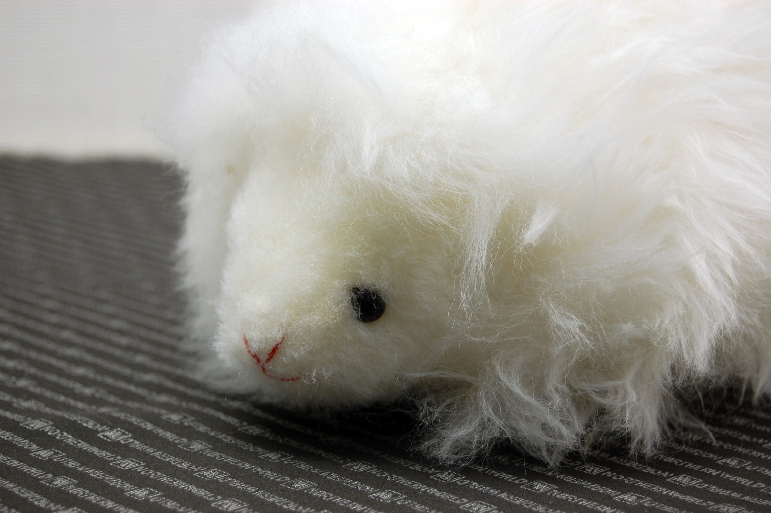 ムートン　ドール（ヘッジホッグ）の画像