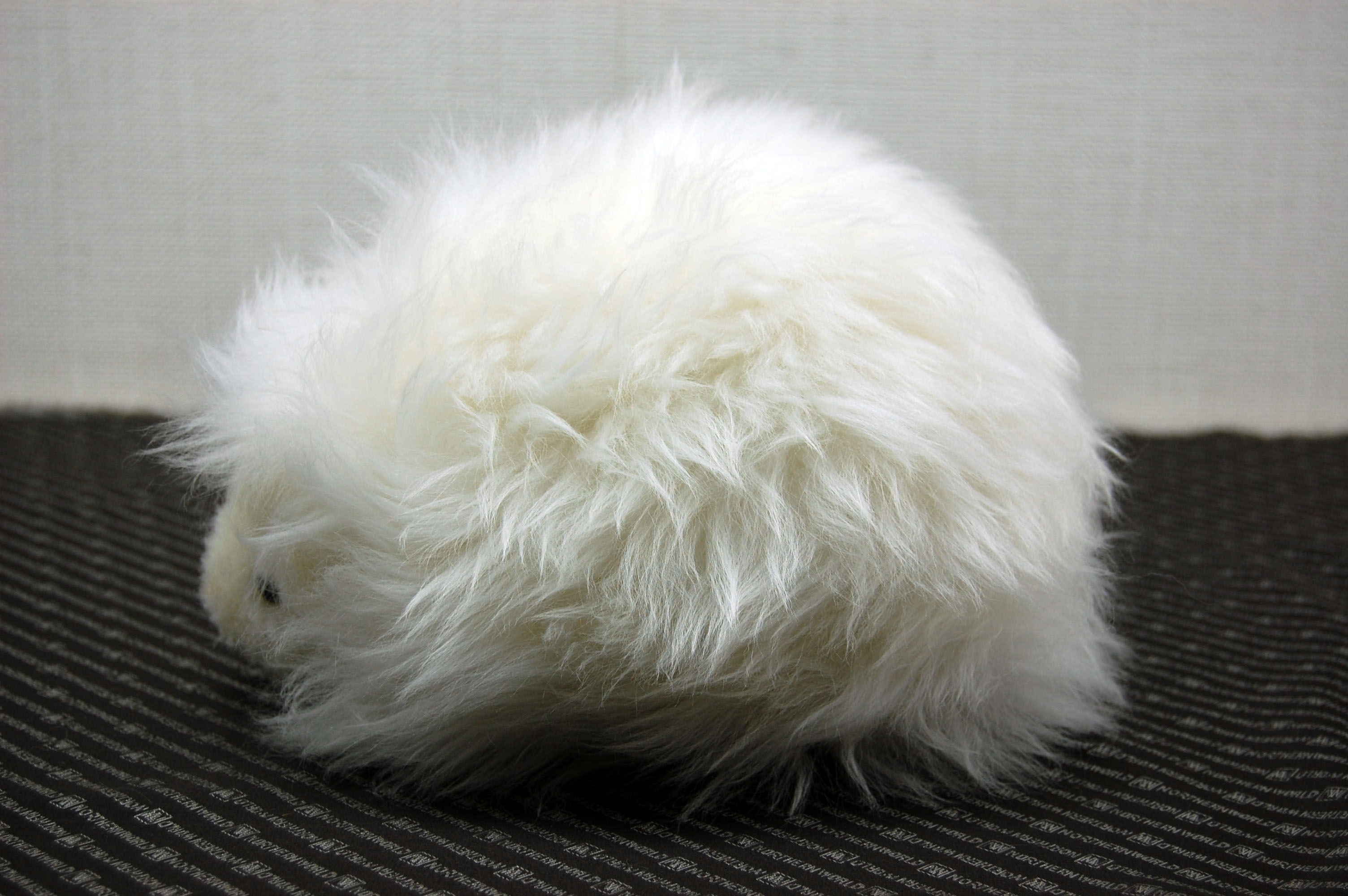 ムートン　ドール（ヘッジホッグ）の画像