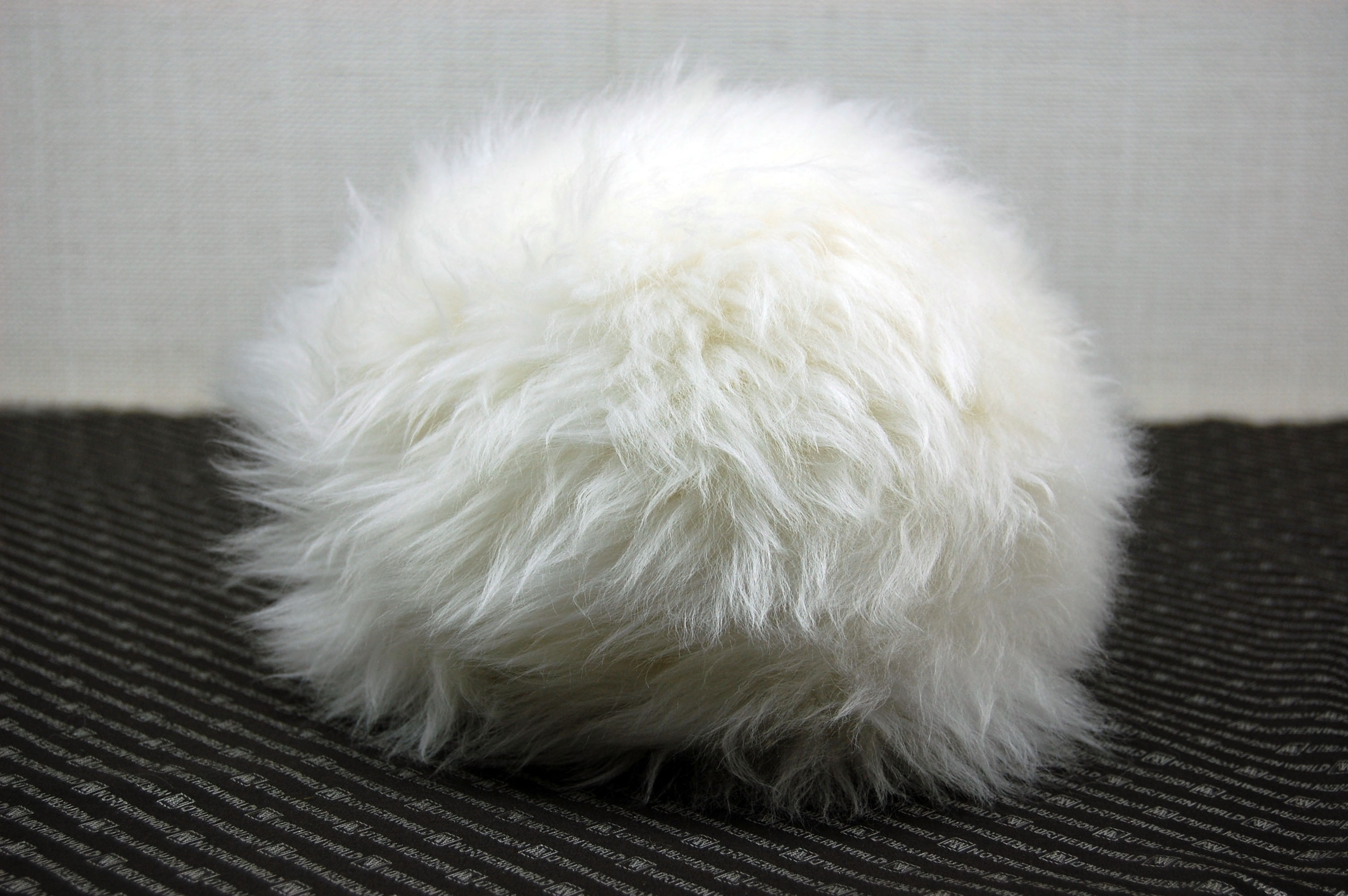 ムートン　ドール（ヘッジホッグ）の画像