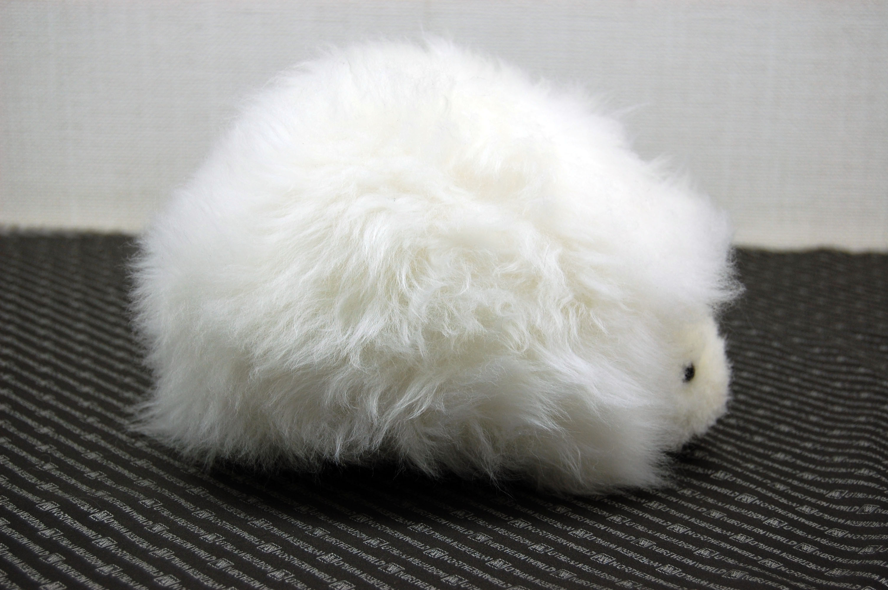 ムートン　ドール（ヘッジホッグ）の画像