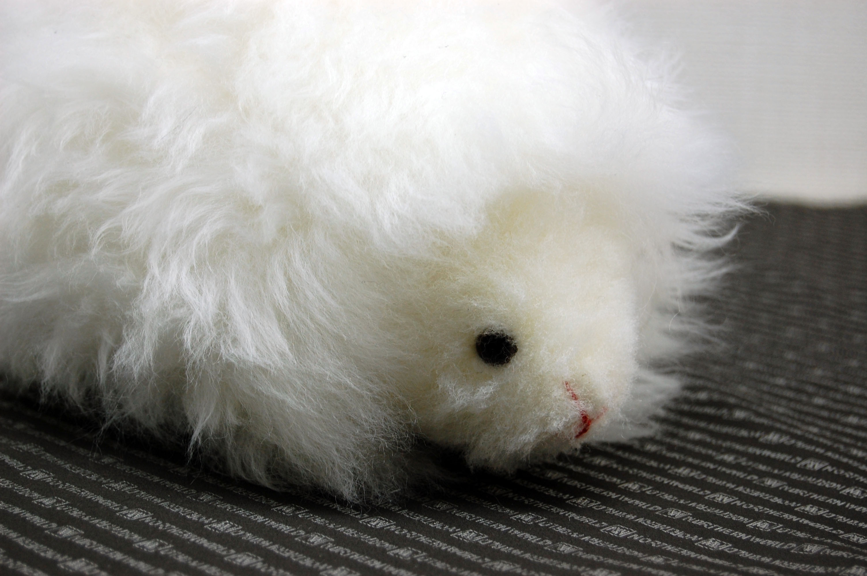 ムートン　ドール（ヘッジホッグ）の画像