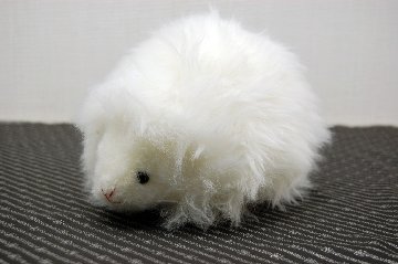 ムートン　ドール（ヘッジホッグ）の画像