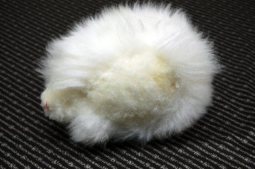 ムートン　ドール（ヘッジホッグ）の画像