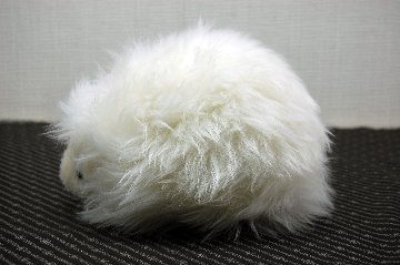 ムートン　ドール（ヘッジホッグ）の画像