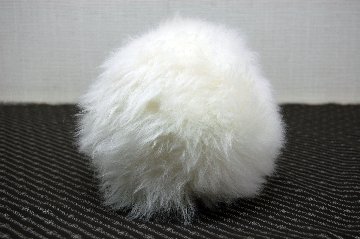 ムートン　ドール（ヘッジホッグ）の画像