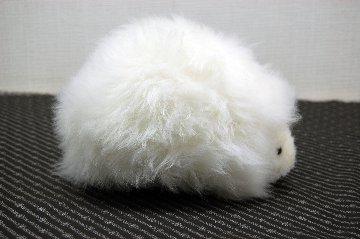 ムートン　ドール（ヘッジホッグ）の画像