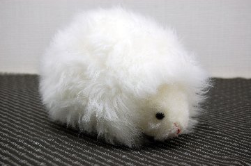 ムートン　ドール（ヘッジホッグ）の画像