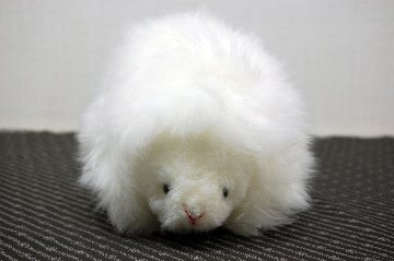 ムートン　ドール（ヘッジホッグ）の画像